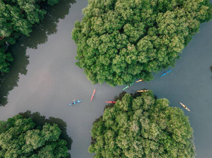 Taman Wisata Alam Angke Kapuk (google.com/TWA Angke Kapuk)