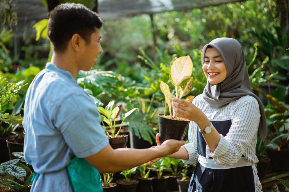 6 Tips Jitu Hasilkan Uang dengan Berkebun, Dari Hobi Jadi Cuan