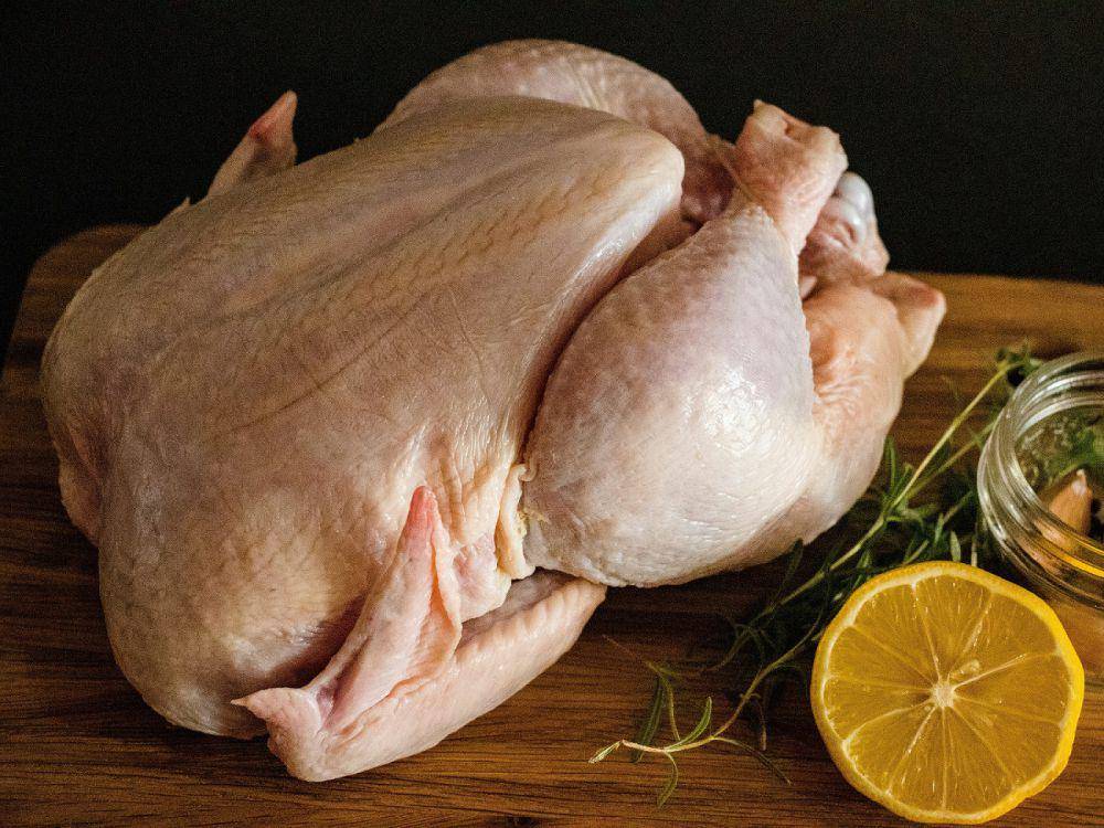 ilustrasi ayam (unsplash.com/JK Sloan)