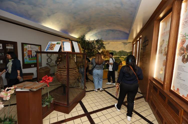 Potret museum madu Fora Bee (Dok. IDN Times)