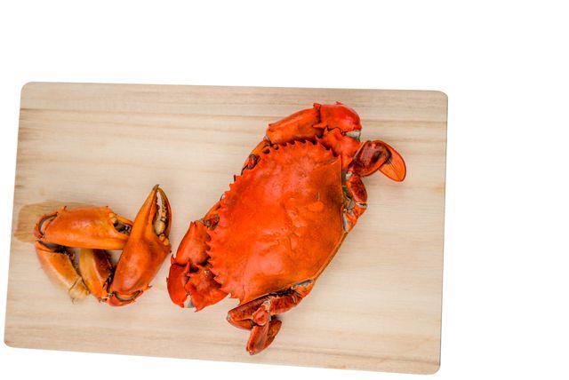 ilustrasi kepiting (vecteezy.com/Artinun Prekmoung)