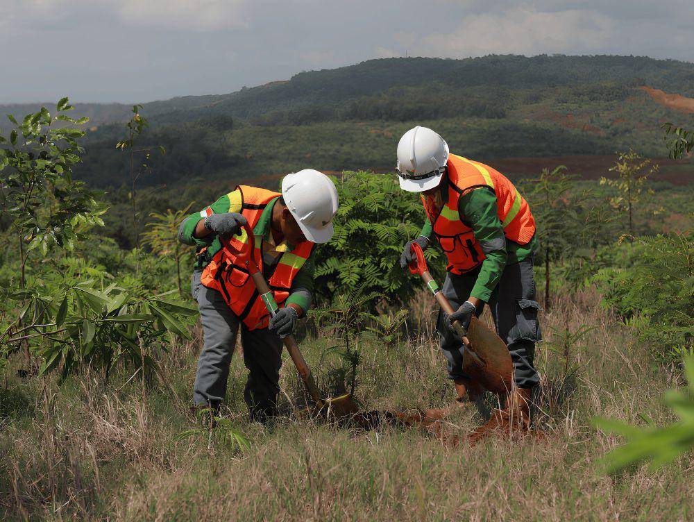 Para pekerja PT Vale yang sedang melakukan reklamasi lahan pascatambang (dok. vale.com)