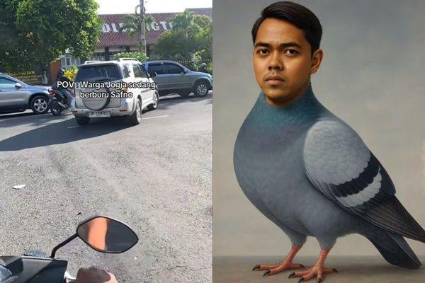 Apa Itu Tren Finding Safno yang Viral di TikTok?