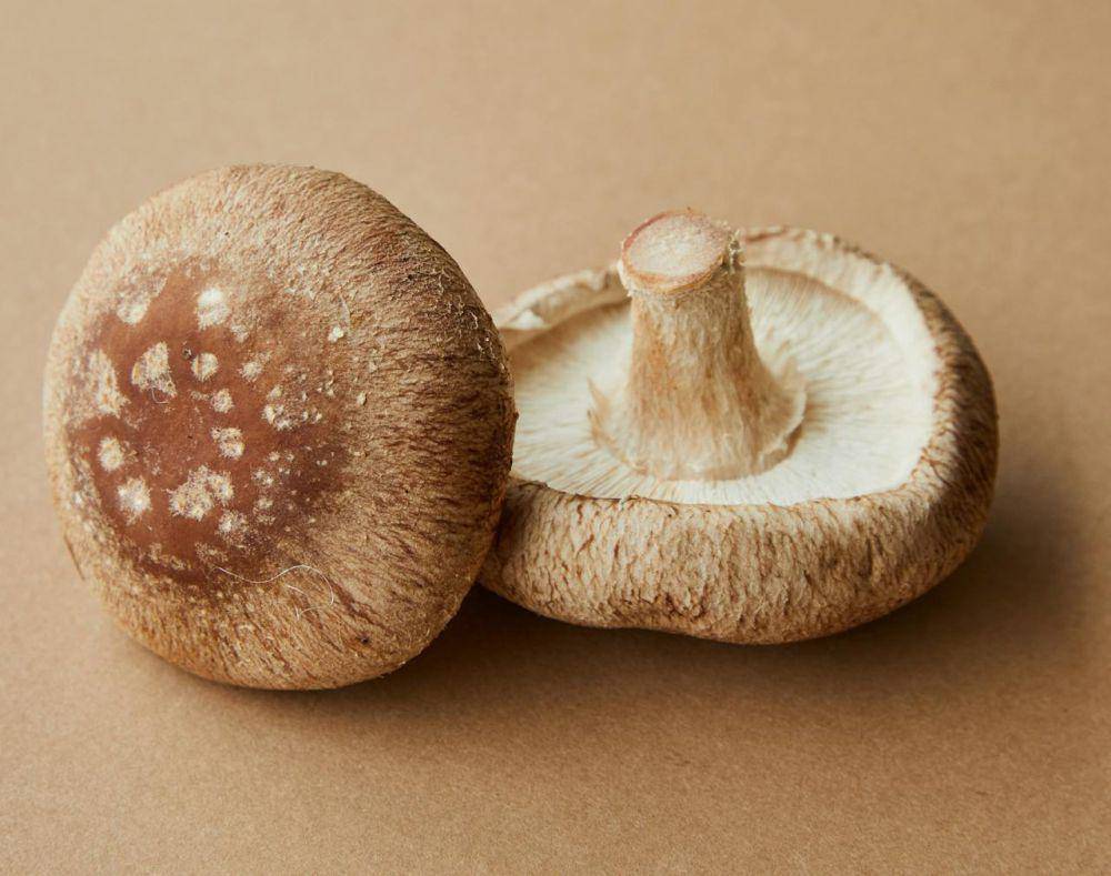 ilustrasi jamur shiitake (pexels.com/Laker)