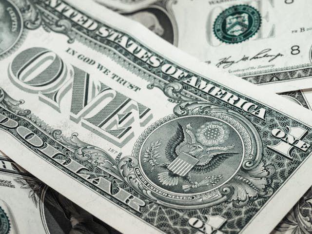 ilustrasi 1 dolar (pexels.com/Pixabay)