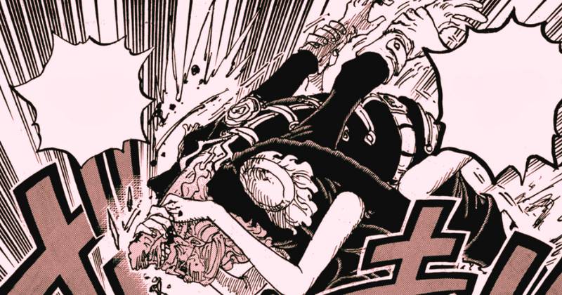 Sommers Robin One Piece 1148.png