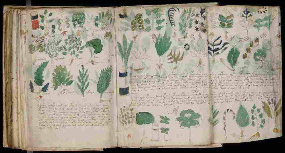 Ilustrasi Voynich Manuscript sebagai buku misterius yang hingga kini belum bisa terpecahkan (commons.wikimedia.org/Unknown Author)