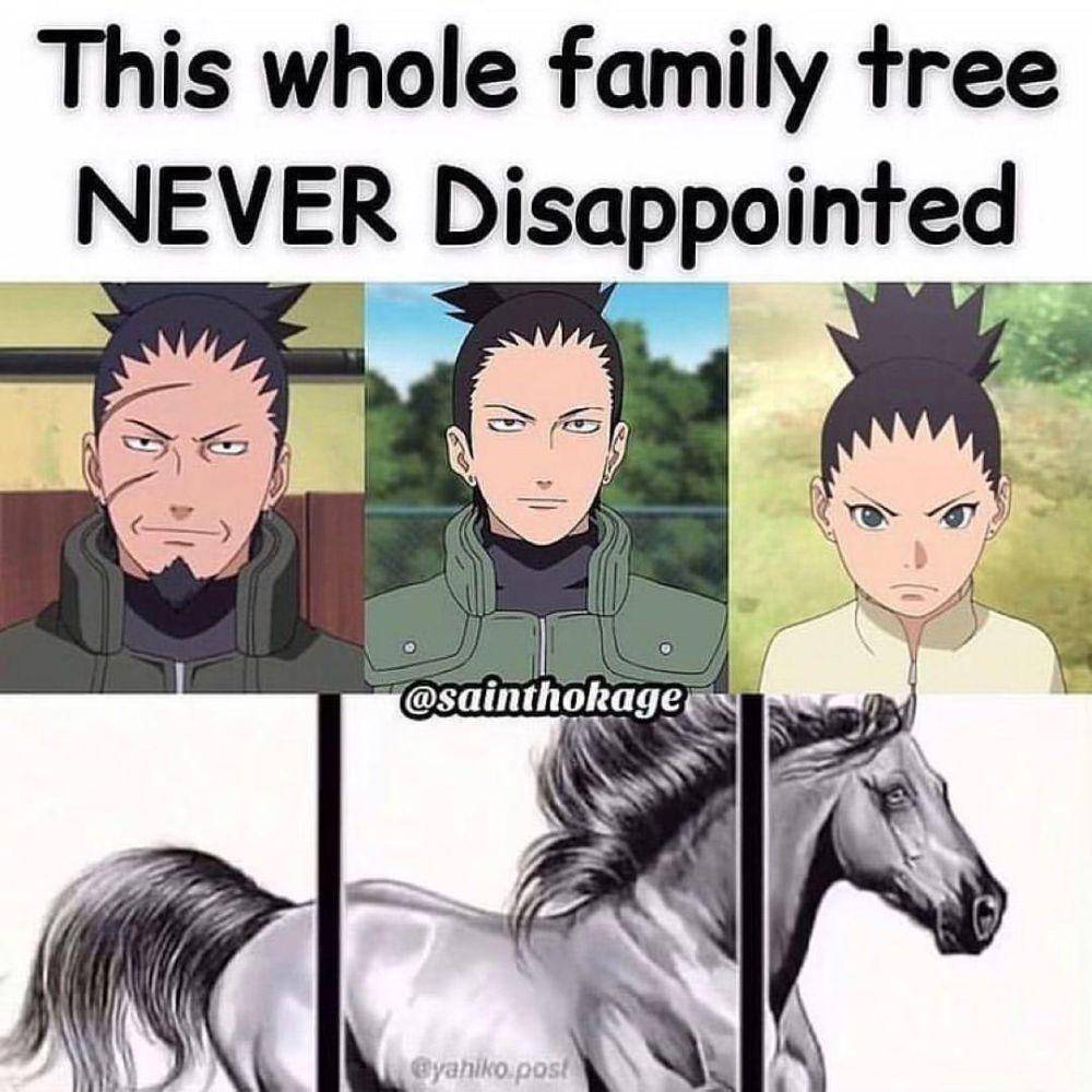 meme Shikadai Nara (reddit.com/user/BreezyHuess)