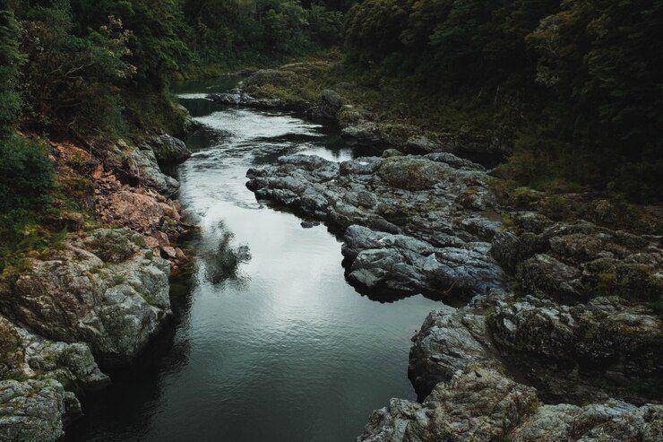 Sungai di gunung (freepik.com/wirestock)