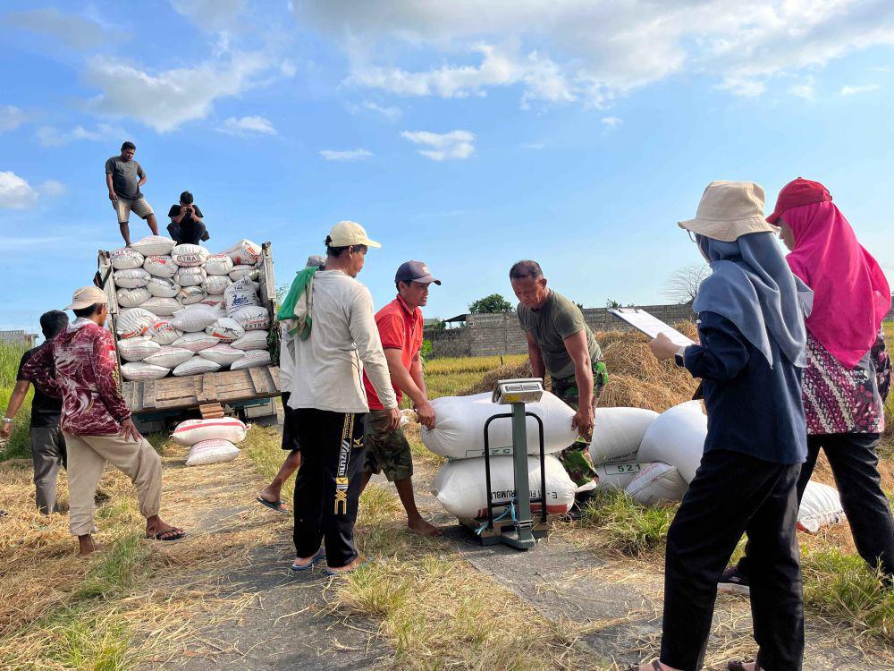 Serapan Gabah Beras Petani di Jatim Capai 425 Ribu Ton