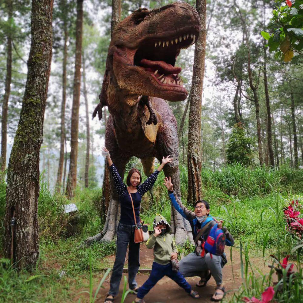 Mojosemi Forest Park, Magetan, Jawa Timur (instagram.com/iamrafina)