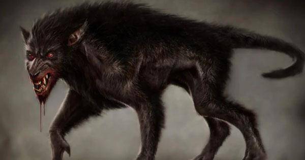 Black Shuck, sosok werewolf di sekuel Annabelle - Annabelle Comes Home