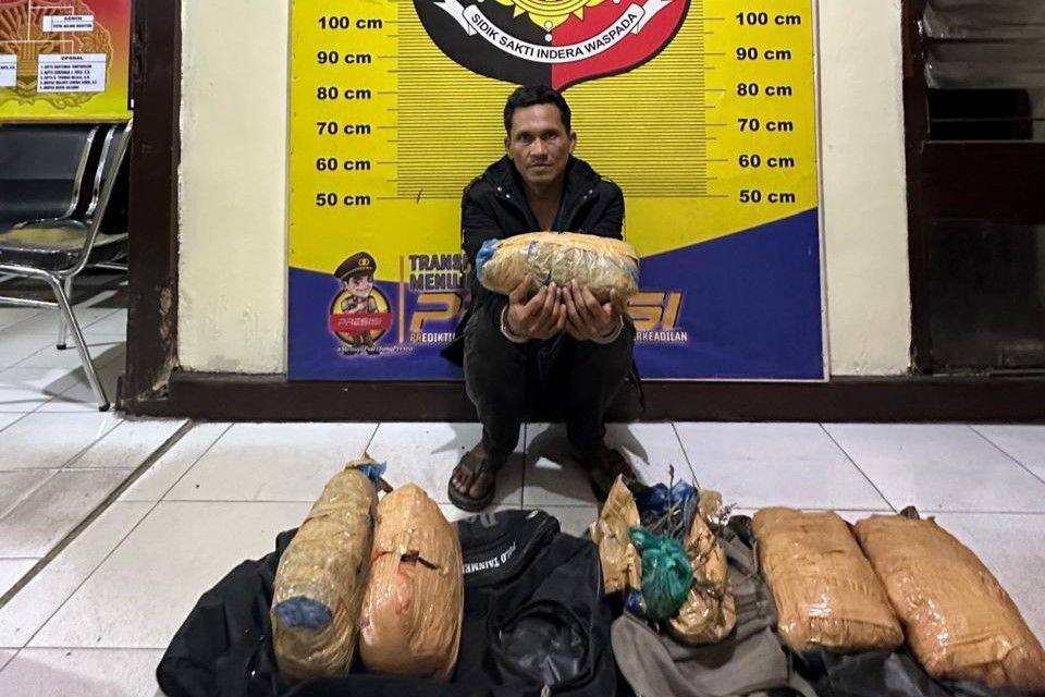Pria di Tapsel Ditangkap, Kedapatan Simpan 5 Bal Ganja Kering