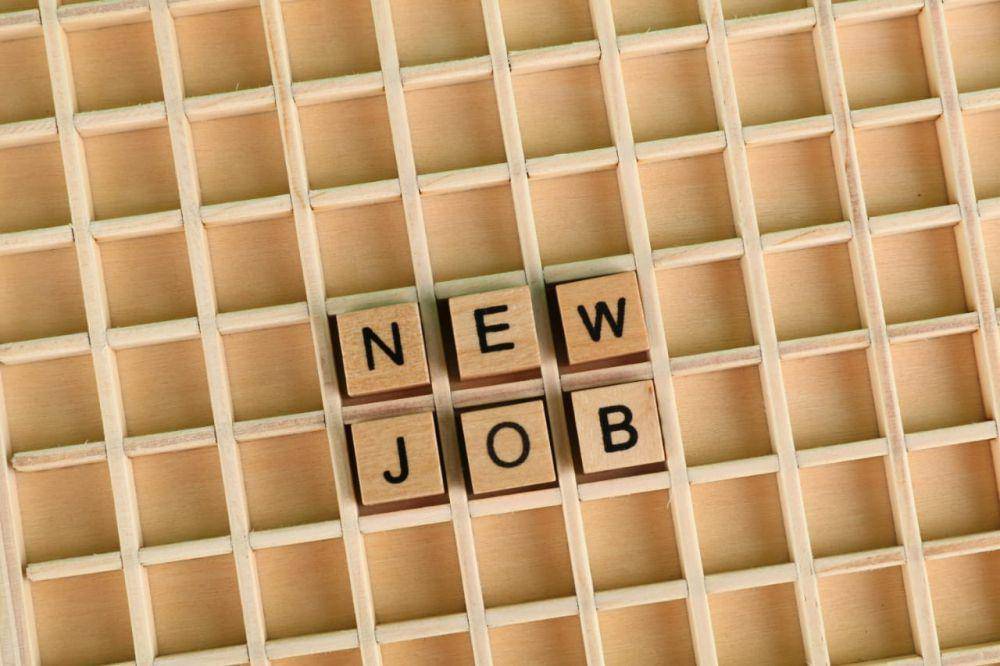 Illustrasi new job (pexels.com/Ann H)