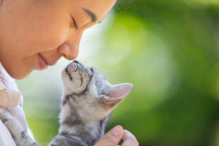 Ilustrasi kucing dan pemiliknya (freepik.com/jcomp)