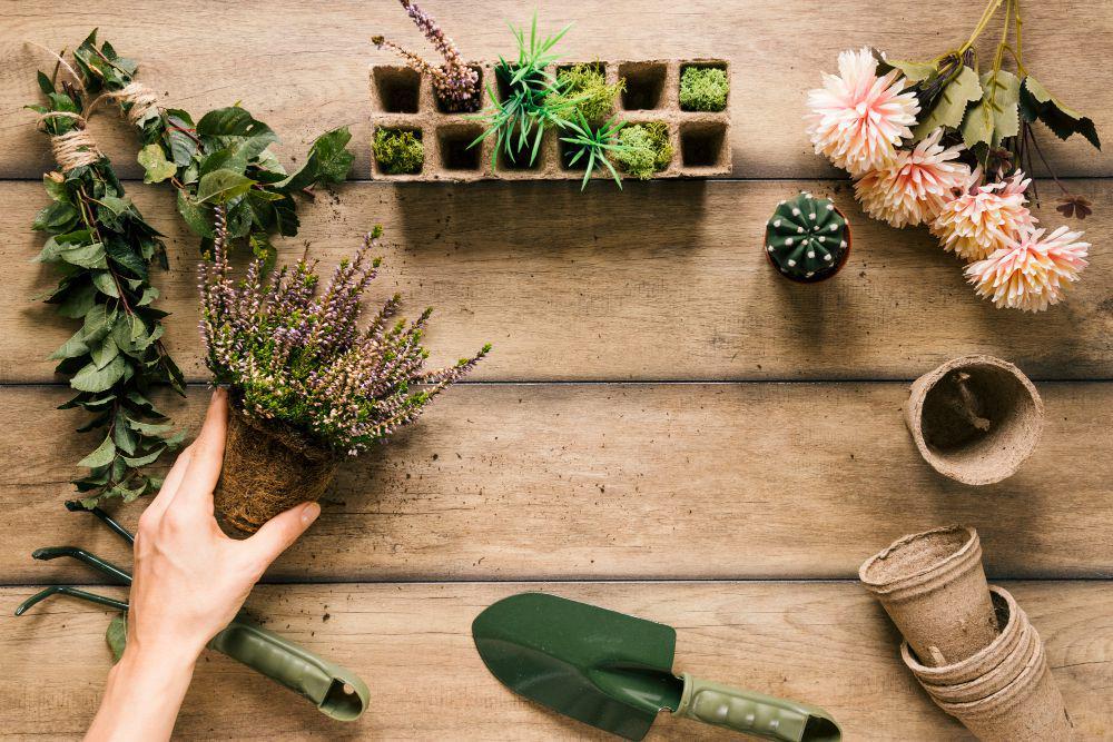 6 Ide Proyek DIY Mini Garden yang Bisa Segarkan Ruang Tamu, Cobain!