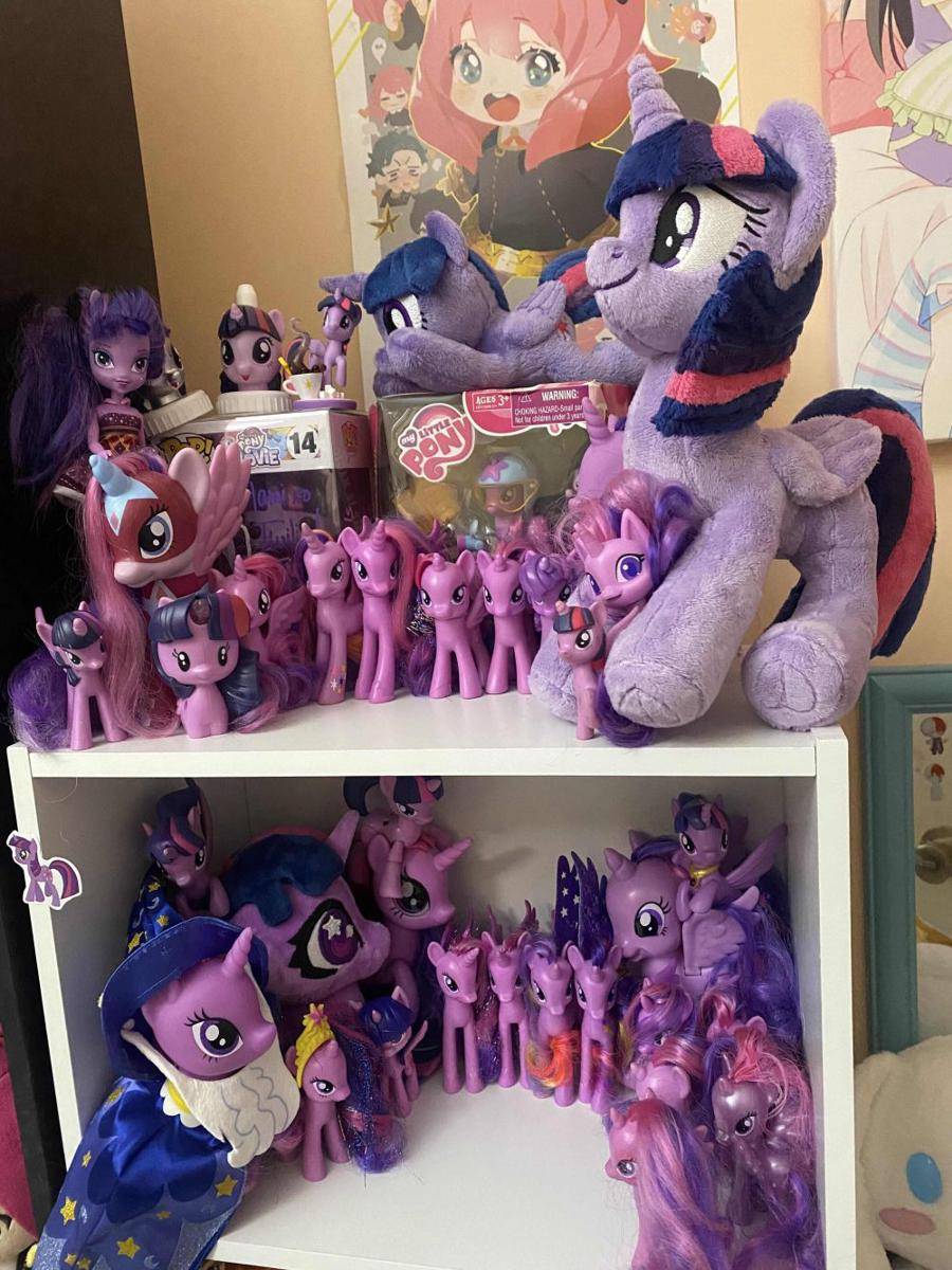 potret koleksi My Little Pony (reddit.com/user/Pitiful-Thanks-9113)
