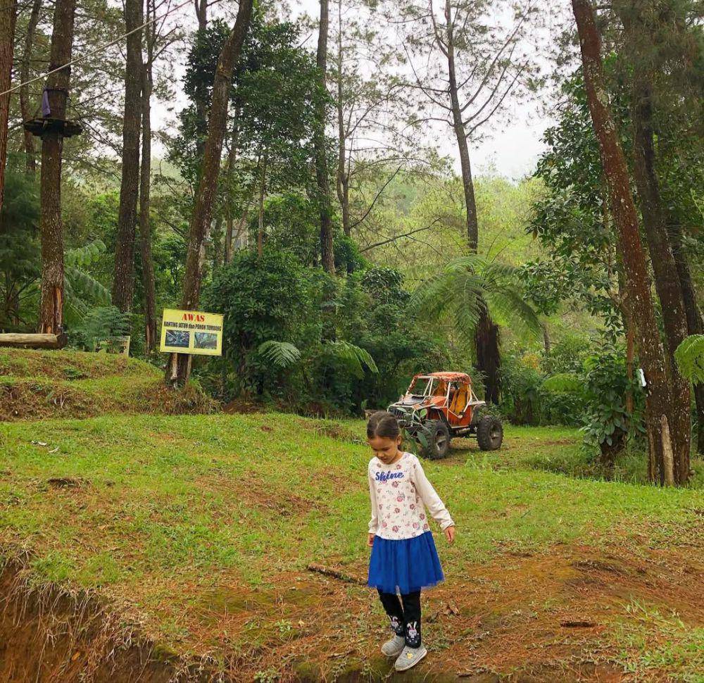 Kampung Pinus, Magetan, Jawa Timur (instagram.com/margaritanaini)