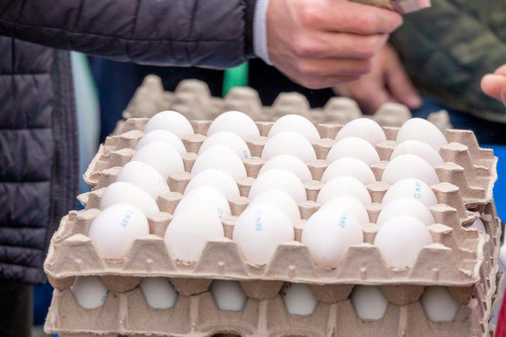 Harga Telur di AS Turun Tajam usai Melonjak Lima Bulan Beruntun