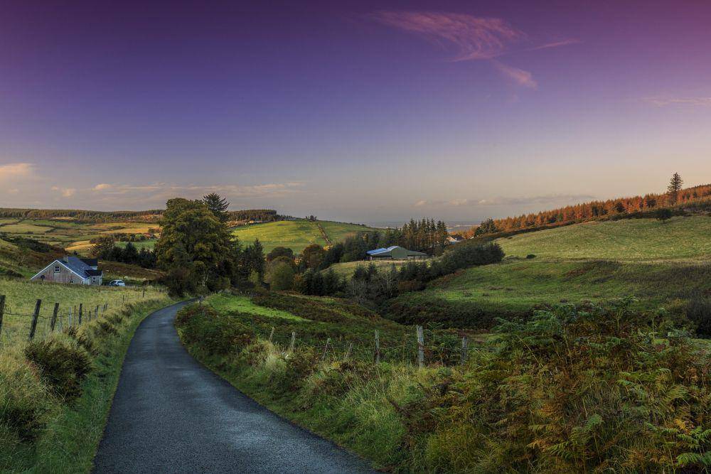 Irlandia (pixabay.com/seanegriffin)