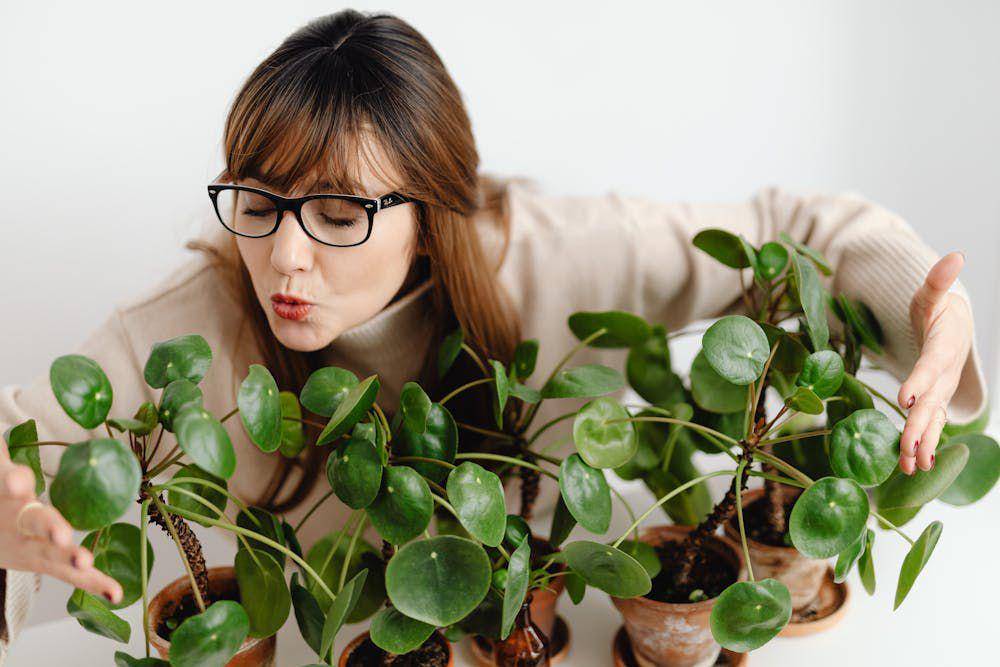 ilustrasi wanita sedang me time dengan berkebun (pexels.com/Photo By: Kaboompics.com)
