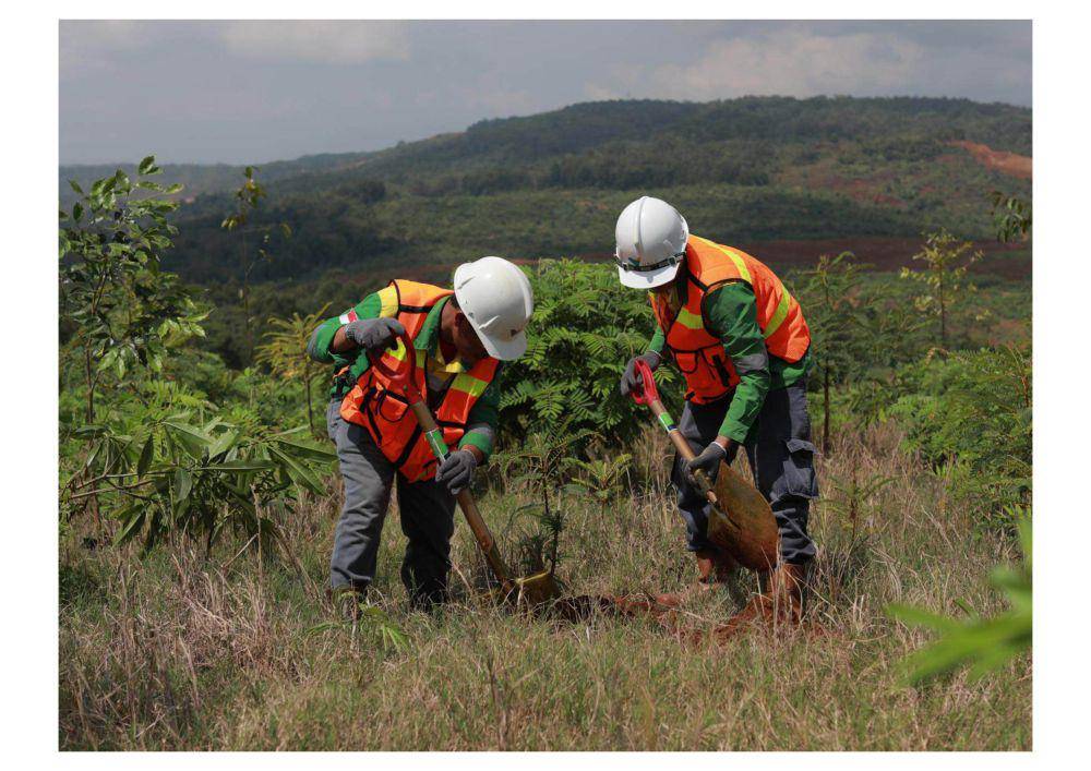 potret Reklamasi Lahan Pascatambang PT Vale indonesia (vale.com)