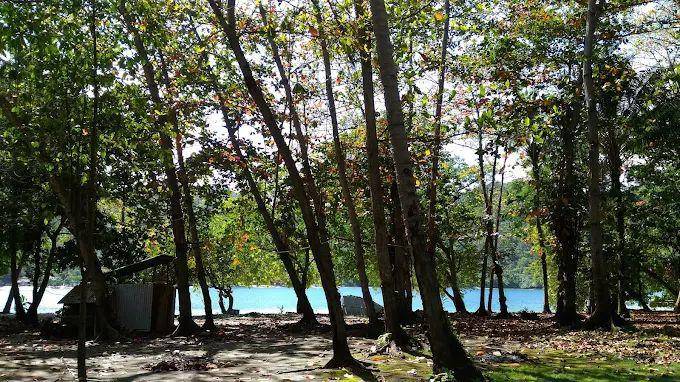 Potret Pulau Kelapa, Kab. Tanggamus Lampung (Doc.Google Maps/Gloria Hermawan)
