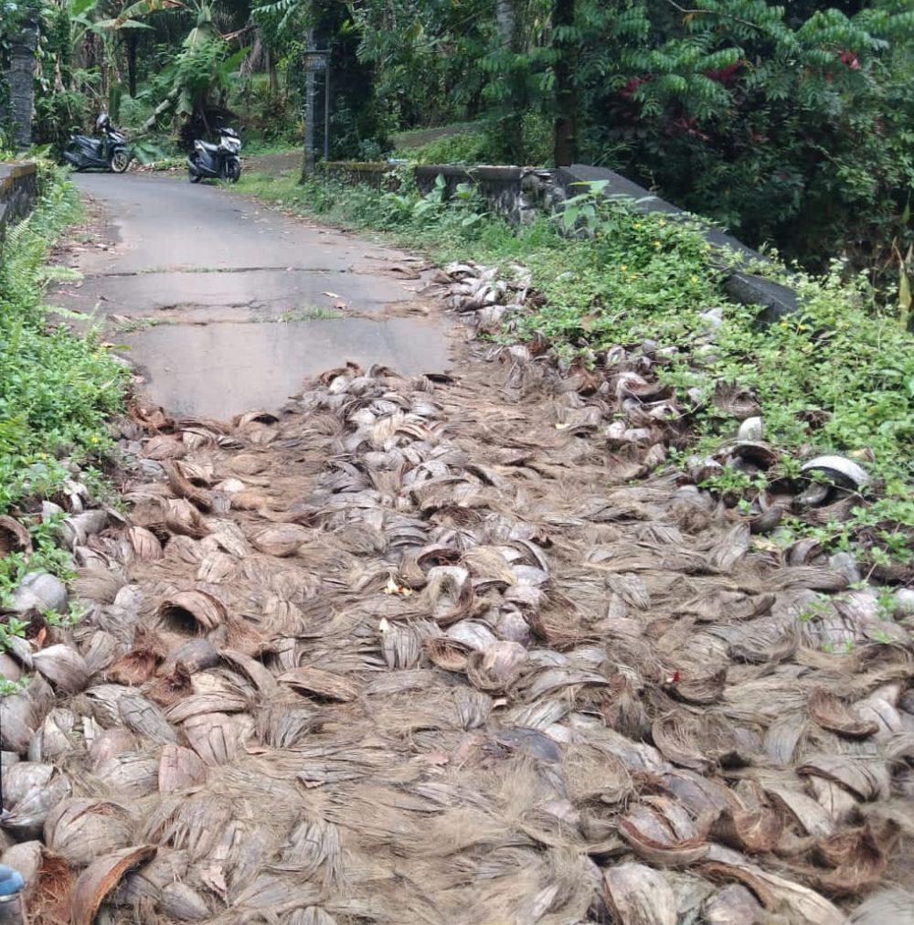 Warga Tabanan Timbun Jembatan Rusak dengan Sabut Kelapa