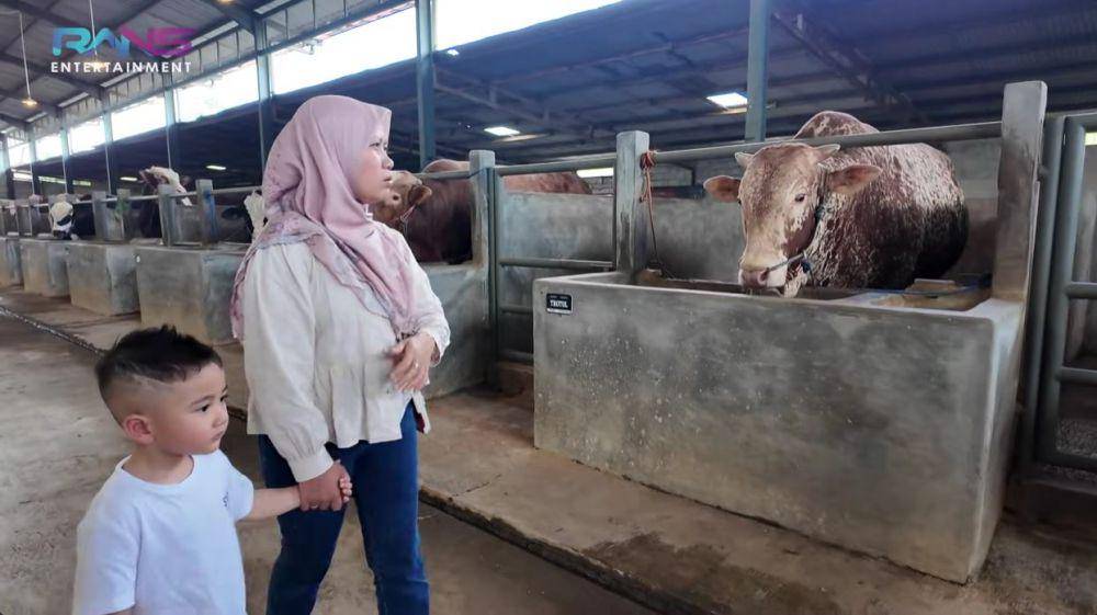 Rayyanza dan Lily ke perternakan sapi (YouTube.com/Rans Entertainment)