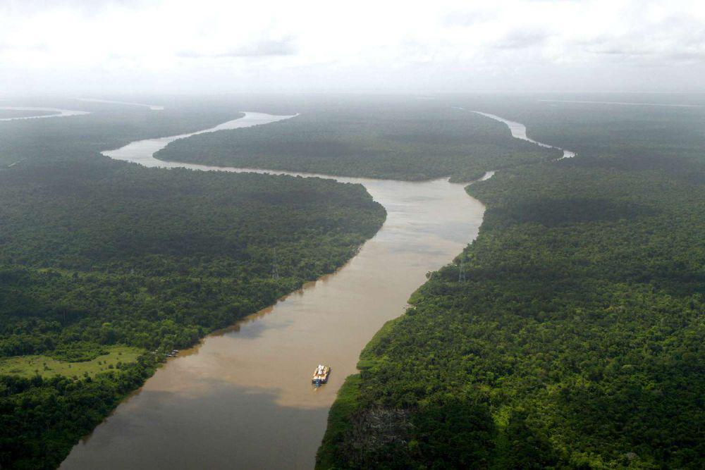 5 Faktor Utama Pembentukan Sungai Amazon yang Jarang Diketahui