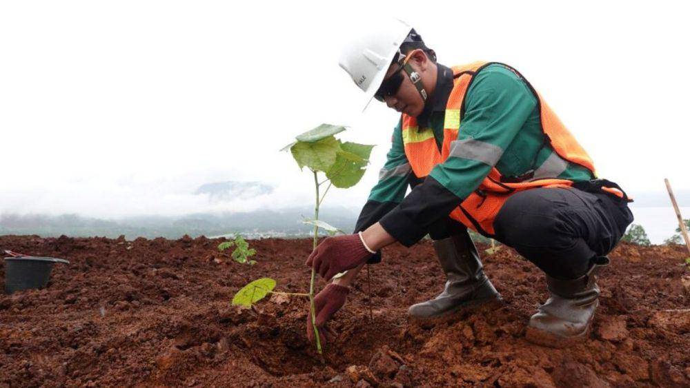 revegetasi PT Vale Indonesia. (vale.com)