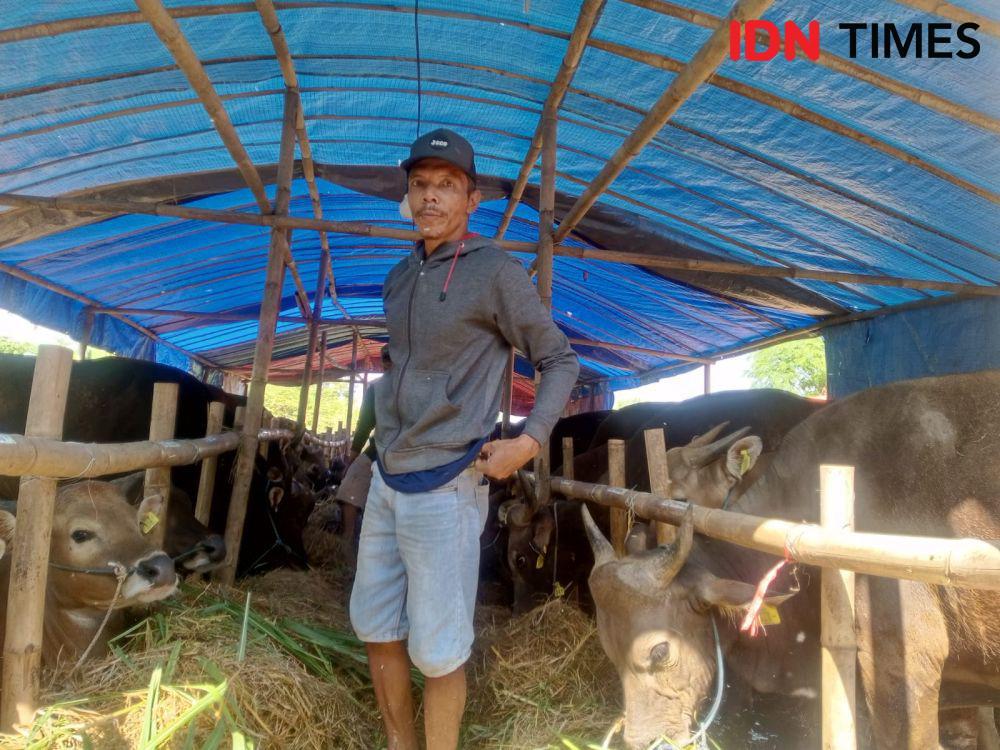 Permintaan Hewan Kurban di Bantul Lesu, Pedagang Batasi Stok