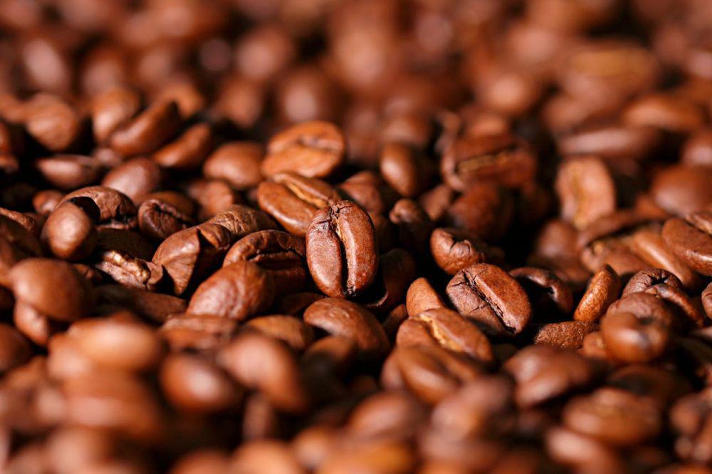 5 Fakta Kopi Ciwidey yang Jadi Kopi Terbaik di Dunia