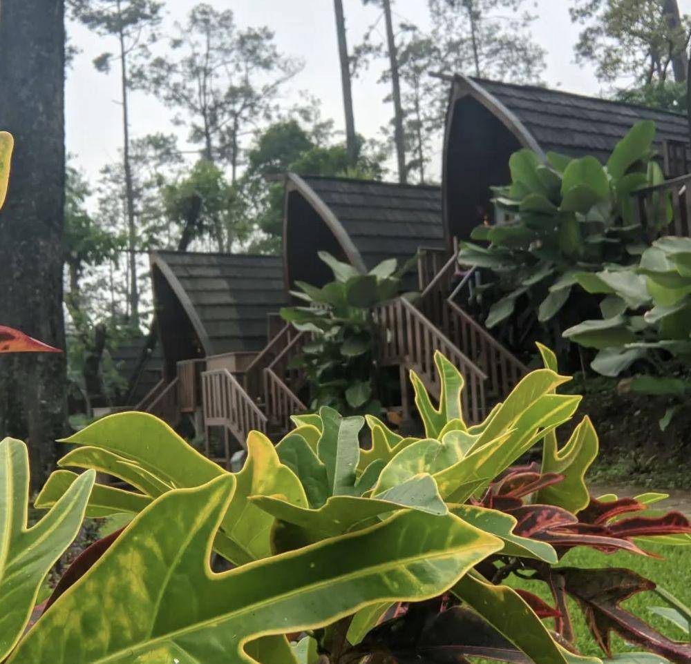 Welirang Resort (https://www.instagram.com/welirangresort/)