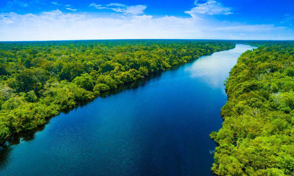 Aliran air Sungai Amazon (a-z-animals.com)