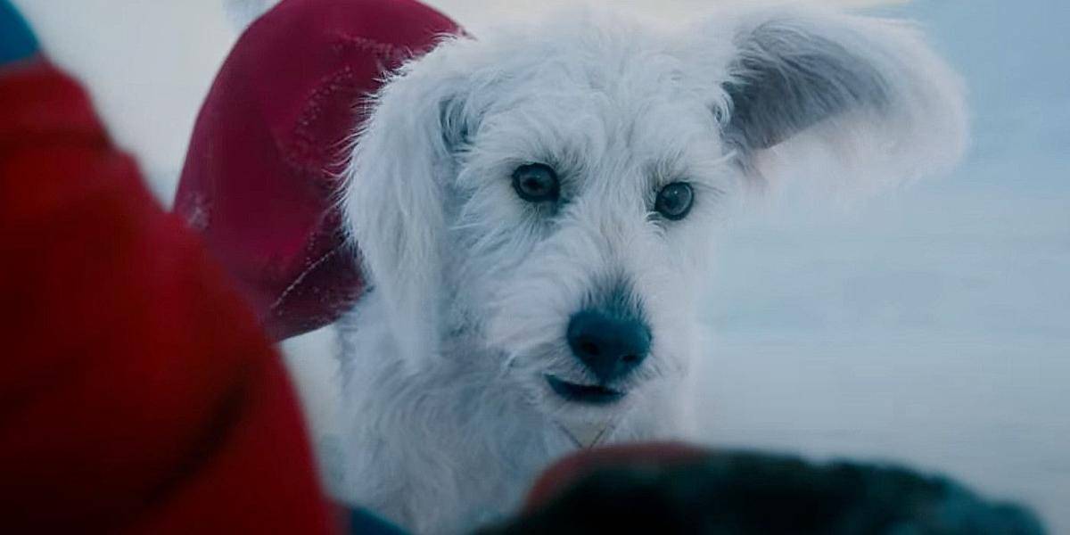 Krypto (Dok. Warner Bros/Superman)