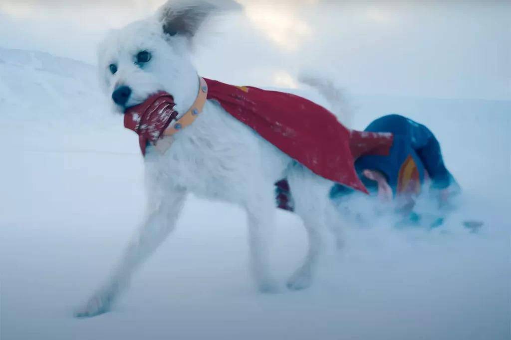 Krypto (Dok. Warner Bros/Superman)