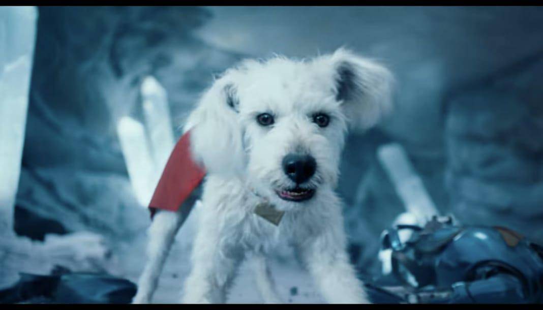 Krypto (Dok. Warner Bros/Superman)