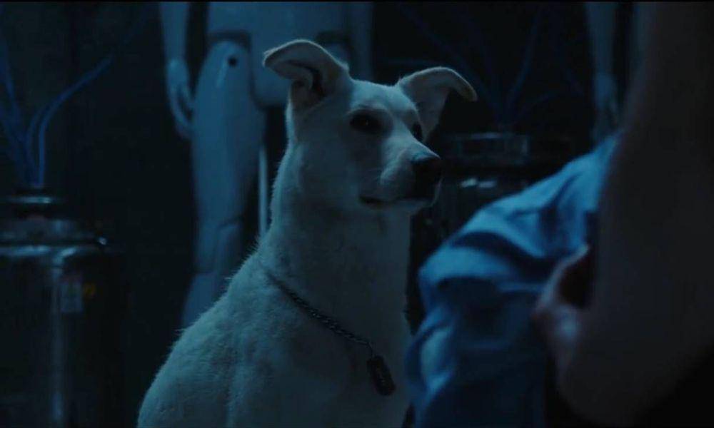 Krypto di serial Titans (dok. HBO Max/Titans)