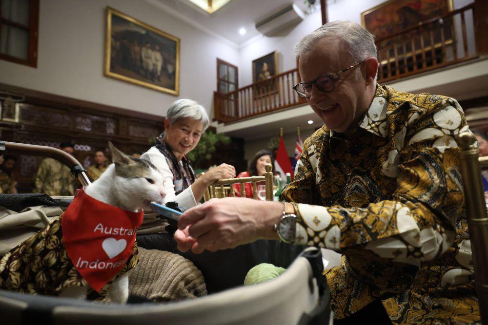 PM Australia Beri Syal Love Indonesia untuk Bobby, Kucing Prabowo