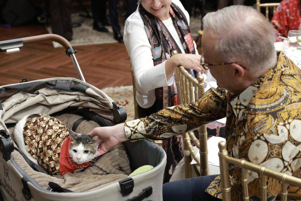 Perdana Menteri (PM) Australia, Anthony Albanese, memberikan hadiah spesial sebagai tanda kasih dari Australia kepada Indonesia dalam bentuk kalung syal berwarna merah untuk Bobby, kucing Presiden Prabowo (dok. Tim Media Prabowo)