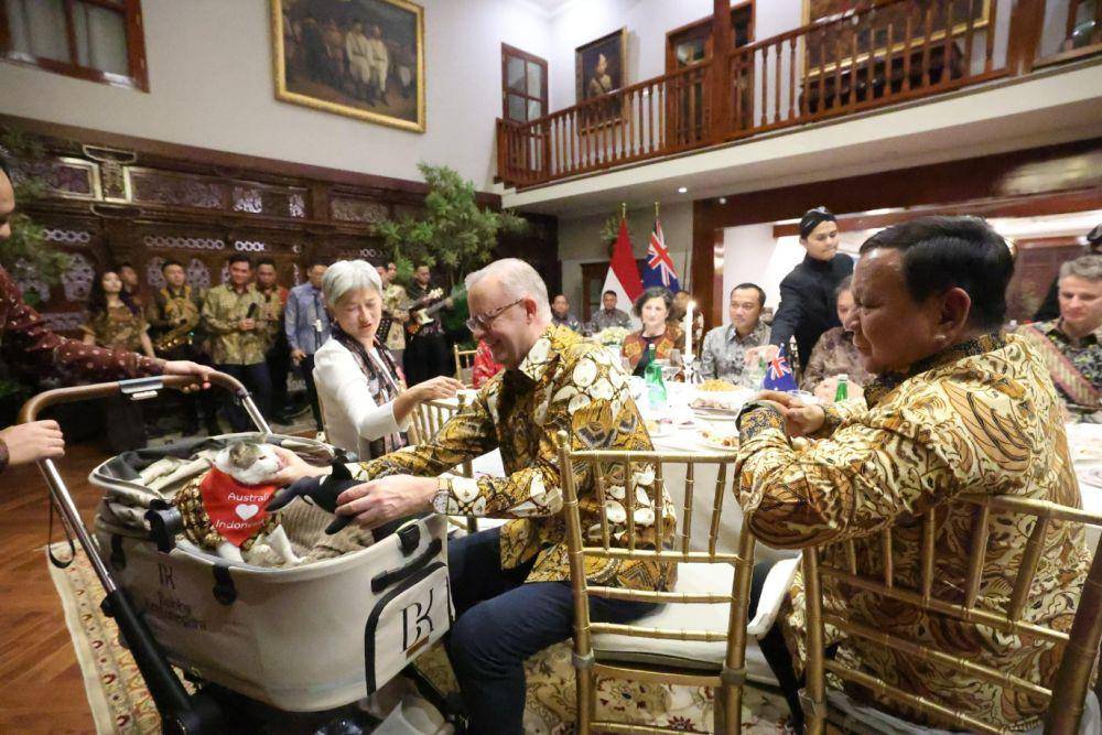Perdana Menteri (PM) Australia, Anthony Albanese, memberikan hadiah spesial sebagai tanda kasih dari Australia kepada Indonesia dalam bentuk kalung syal berwarna merah untuk Bobby, kucing Presiden Prabowo (dok. Tim Media Prabowo)
