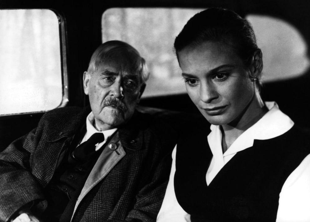 film Wild Strawberries (dok. SF/Wild Strawberries)