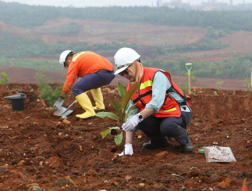 Penanaman pohon di lahan reklamasi oleh PT Vale Indonesia