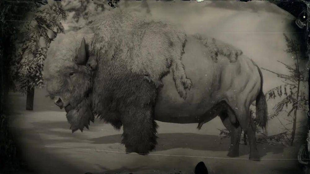 Mod Perfect Pelts (nexusmods.com/reddeadredemption2)