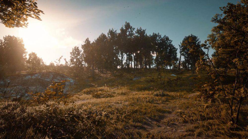 Mod Dynamic Seasons (nexusmods.com/reddeadredemption2)