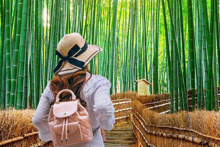 5 Filosofi Bambu yang Bisa Menjadi Inspirasi Hidup