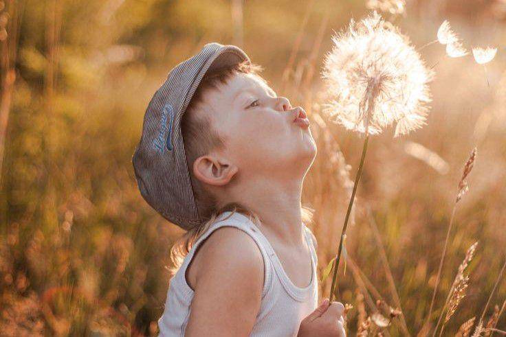 Ilustrasi filosofi bunga dandelion, menyimpan makna kehidupan mendalam. (Pinterest/Life's Prism)
