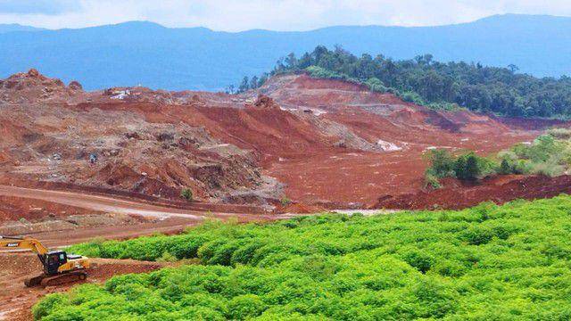 Foto proses revegetasi atau penanaman pohon kembali di bekas tambang