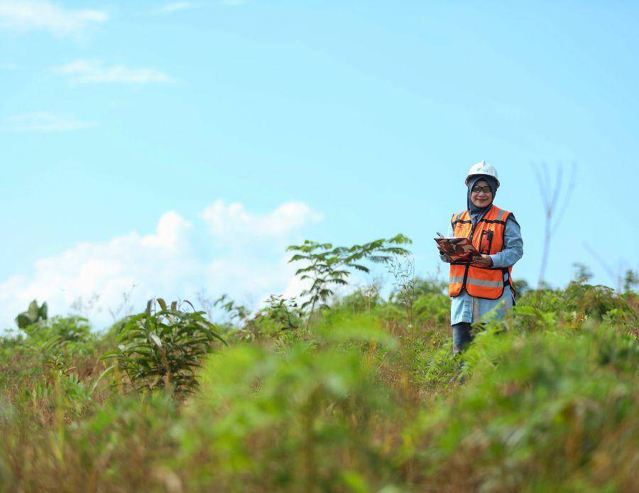 peninjauan area hijau demi keberlanjutan lingkungan (vale.com)